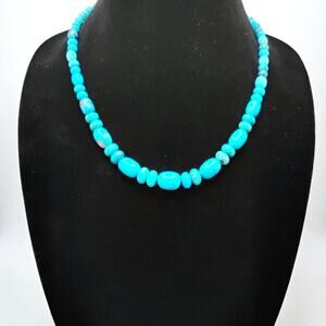 Jay King Desert Rose Trading Turquoise Necklace 925